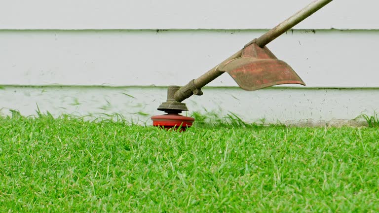 Best Lawn Mowing  in Amesti, CA